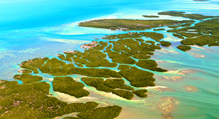USA Florida Keys von oben Foto iStock Bertl123